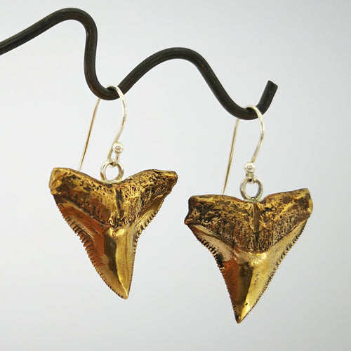 Bronze shark teeth earrings hang on silver hooks. By Keri-Mei Zagrobelna