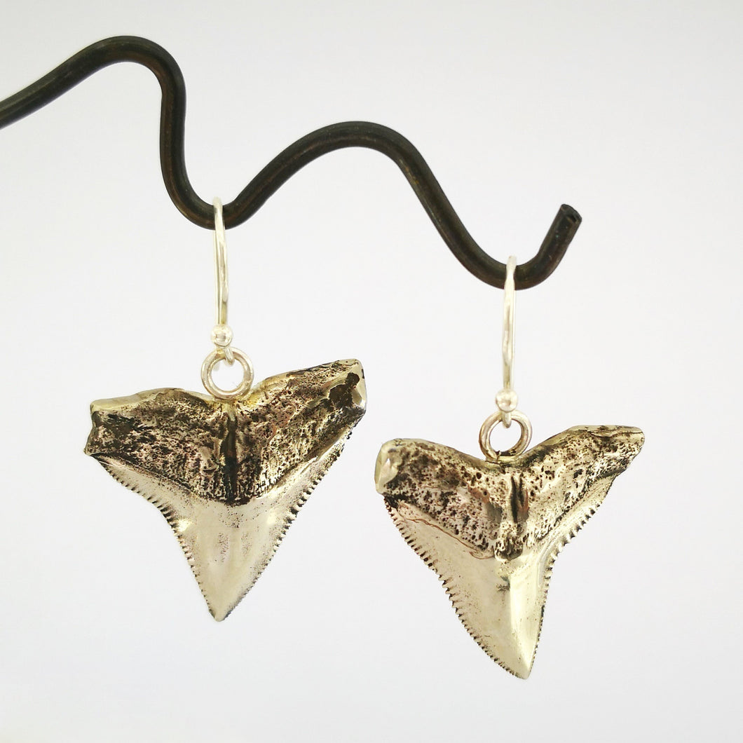 White bronze shark teeth earrings hang on silver hooks. By Keri-Mei Zagrobelna